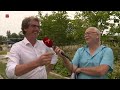 Bomen over Floriadebomen