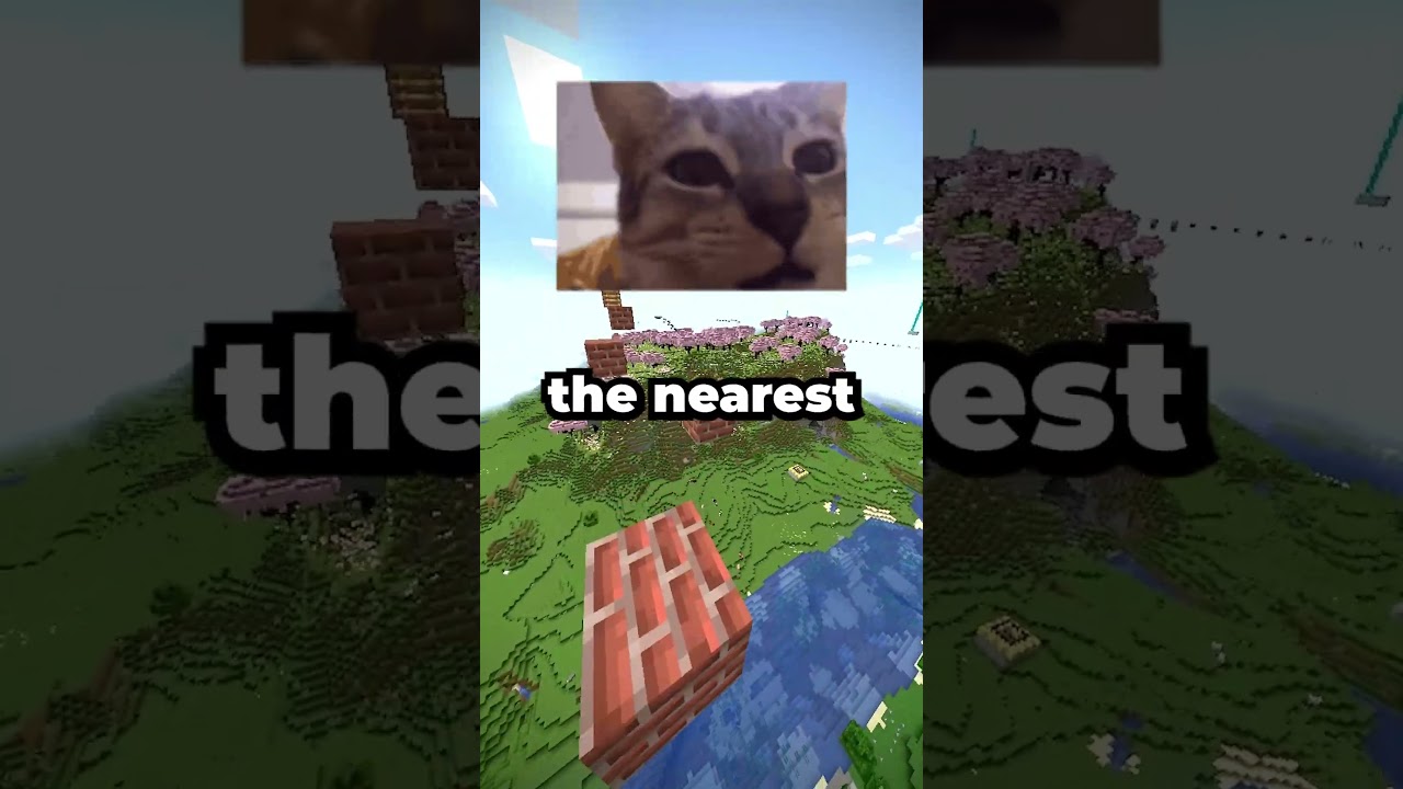 Which Cheat Codes Would You Choose? 😼