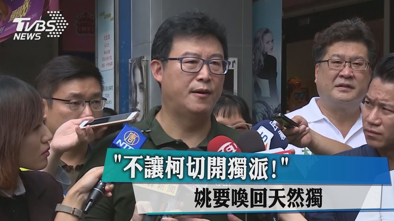 「不讓柯切開獨派!」 姚文智要喚回天然獨