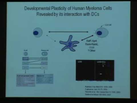 Stemness, Inflammation, and Tumor Immunity: From Bedside to the Bench and Back