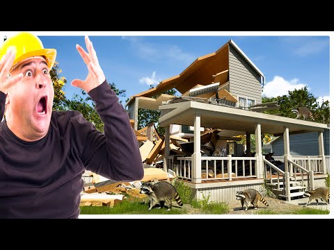 Destroying a House After a Rabies Raccoon Infestation