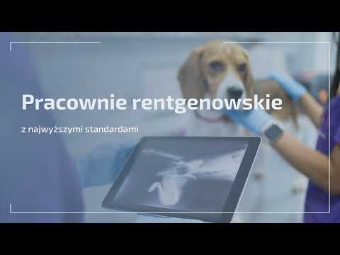 Merk Sp. z o. o. - video