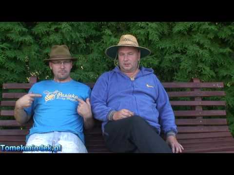 Tuning pszczół M. Lewandowski &amp T. Miodek