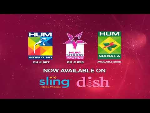 Prem Gali Episode 8 - 24 September 2020 - ARY Digital Drama