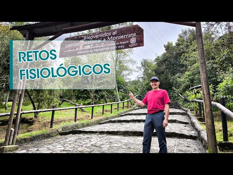 Gustavo Tovar Mojica-28