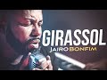 Girassol