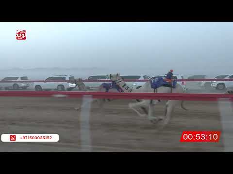 ش 1 (ترف) لـ علي محمد حمود الجحافي 2:05 , شارة الصندوق 2026/06/20 فطامين الروضة 