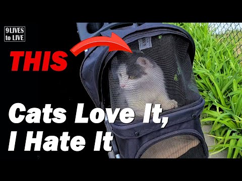How to Take Your Cats Outside Safely: Cat Stroller Review