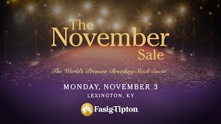 Download lagu The November Sale: A Night of Stars (2025) mp3
