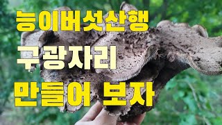 능이버섯산행 경기북부지방 늦가을 능이구광자리 만들어 보자