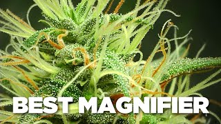 Best tool for magnifying trichomes, jarlink jewelry loupe vs. Takmly digital microscope – Macro Lens