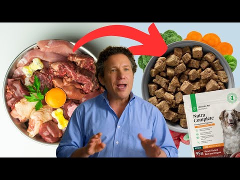 How To Transition Your Dog To A New Food | Nutra Complete | Ultimate Pet Nutrition