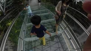 200102 Canopy Bridge at Jewel Changi Airport