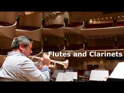 Mahler Symphony No. 3 - Post Horn