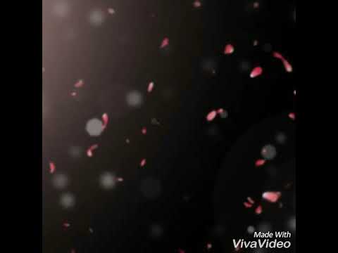 Erdal toprak & sancak canımdan can aldı