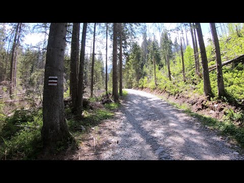 Tatry - Dolina Suchej Wody - Szlak z Brzeziny do Psia Trawka - Górskie Wędrówki