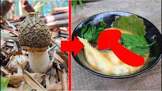 麻辣湯にムキムキなキノコを入れてみたらぶっ飛んだ！#キヌガサタケ #麻辣湯 #マーラータン