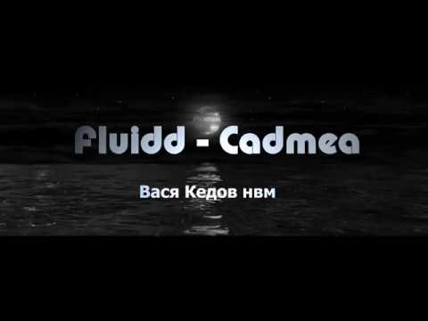 Flüidd-Cadmea🦉