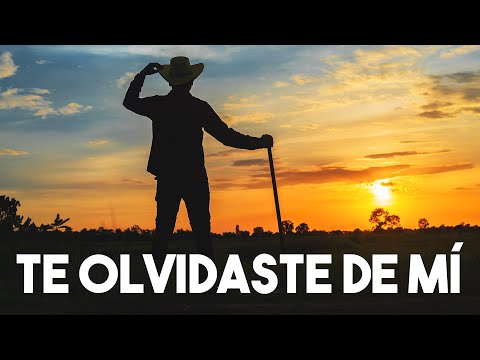 TE OLVIDASTE DE MÍ | El Palleter | En apoyo al SECTOR PRIMARIO | Julio Iglesias - ME OLVIDÉ DE VIVIR