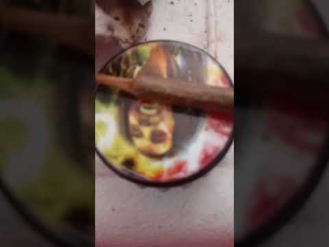 Insônia Mc's PT Quinta Dose