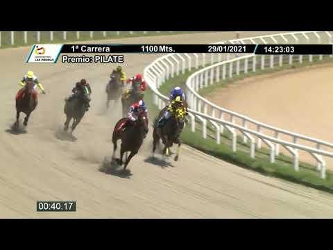 210129 c01 - LEONA VELOZ - HIPODROMO LAS PIEDRAS
