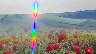 Tim’s Woodland WooWoo – A World of Liquid Light.