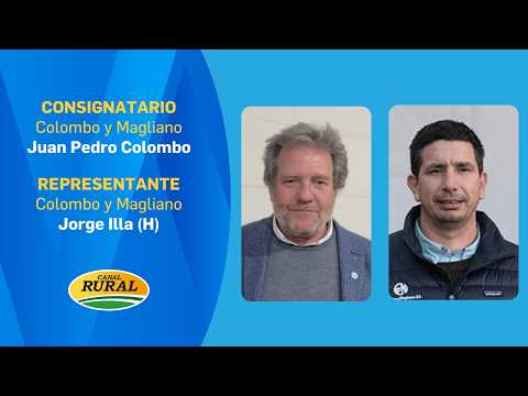 Juan Pedro Colombo and Jorge Illa | Tomorrow at 1:30 PM TV auction from Mar del Plata with 13,500...
