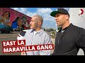 East LA Gang Member 3rd Generation Maravilla