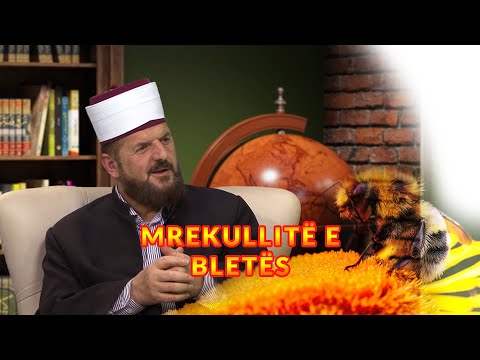 Mrekullitë e bletës - Dr. Shefqet Krasniqi