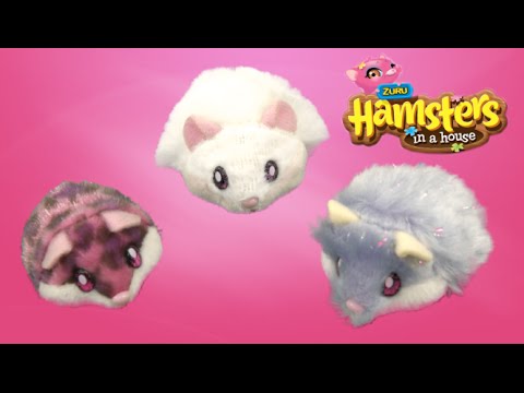 zuru hamsters in a house