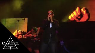 Daddy Yankee - DY En Cartagena  - El Ritmo No Perdona [Live]