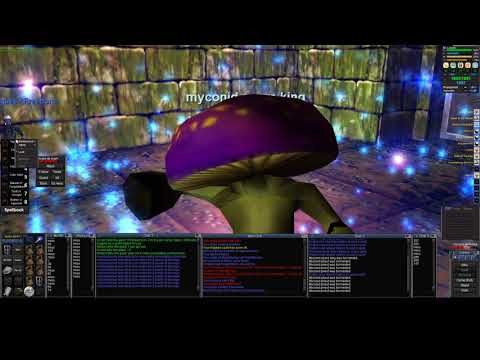 Full Solo Enchanter Fungi King!