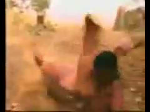 La bagarre drôle de l'histoire