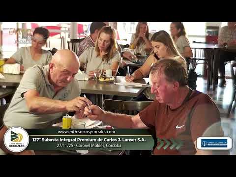 27-11-25 - 127º Subasta Integral Premium de Carlos J. Lanser - Coronel Moldes, Córdoba