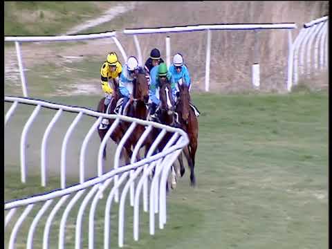 Galoppo 15/02/2019 - 4ª corsa