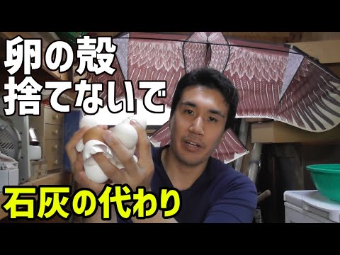 卵の殻には緑の植物が