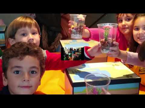 2.º B Educación Primaria 2019 - 2020