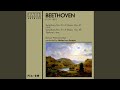 Symphony No. 6 in F Major, Op. 68 "Pastoral": I. Allegro Ma Non Troppo