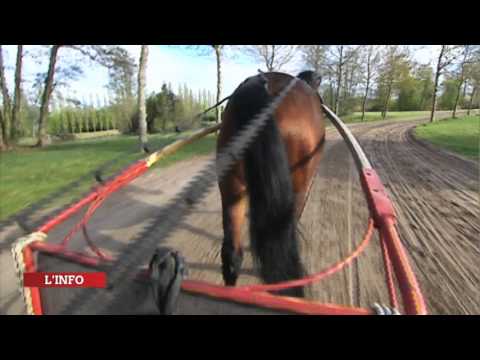 A la découverte de Grosbois avec Pierre Vercruysse