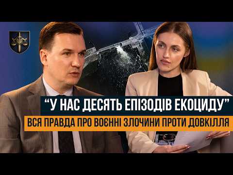 От военного экоцида до незаконной вырубки: как расследуют экопреступления в Украине