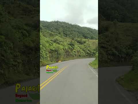Vía Pajarito - Sogamoso (Mayo 2024)