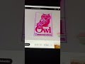 Radical Sheep Productions Owl Communications YTV 1994