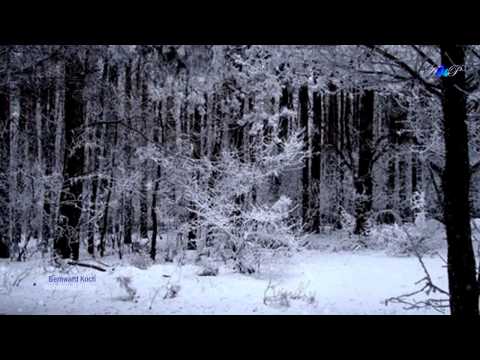 BERNWARD KOCH - Wonderful Glider (amazing, soothing music)