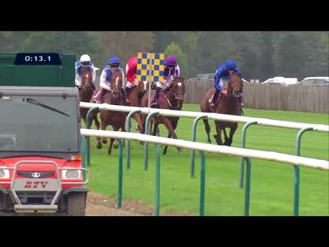 Revivez la course du Total Prix Marcel Boussac - Critérium des Pouliches
