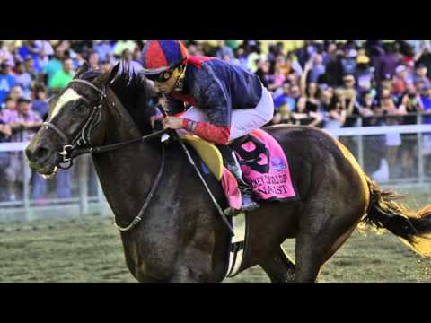2015 Breeders Cup Classic Trailer