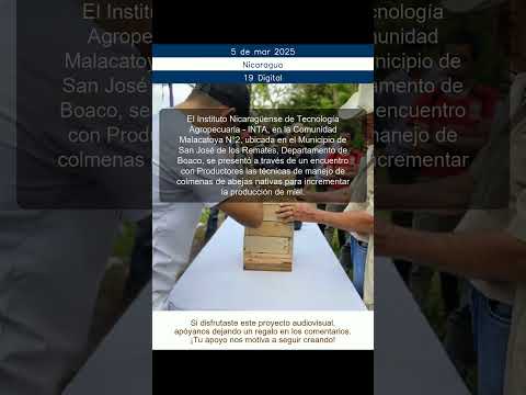 INTA capacita a productores en manejo de colmenas de abejas nativas en Boaco