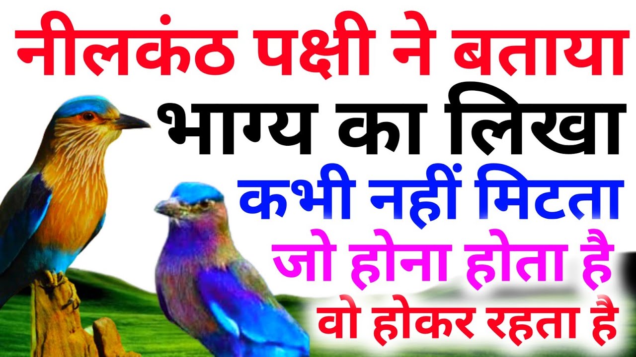 भाग्य का खेल भाग्य का लिखा कभी नही मिटता | Neelkanth pakshi ki kahani