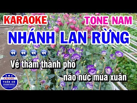 Karaoke Nhánh Lan Rừng | Nhạc Sống Beat Nam | Karaoke Tuấn Cò