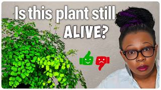 Plant Updates: See What's Thriving and What's Not - Lessons Learned