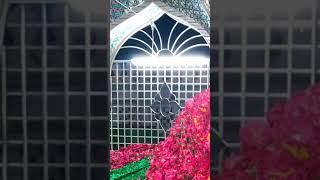Download lagu Ajmer Meri Manzil Baghdad hai thikana stetas mp3